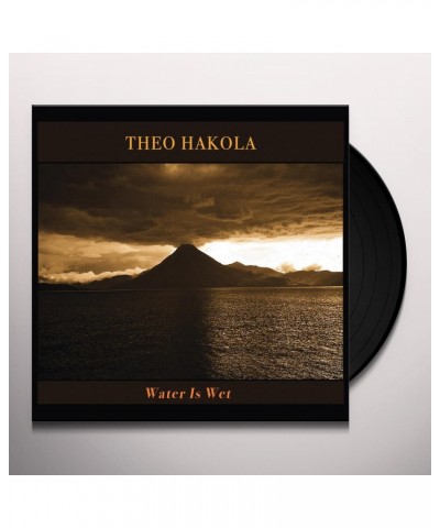 Theo Hakola Water Is Wet Vinyl Record $12.40 Vinyl