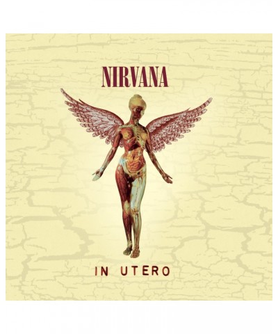 Nirvana IN UTERO (20TH ANNIVERSARY EDITION) CD $6.97 CD