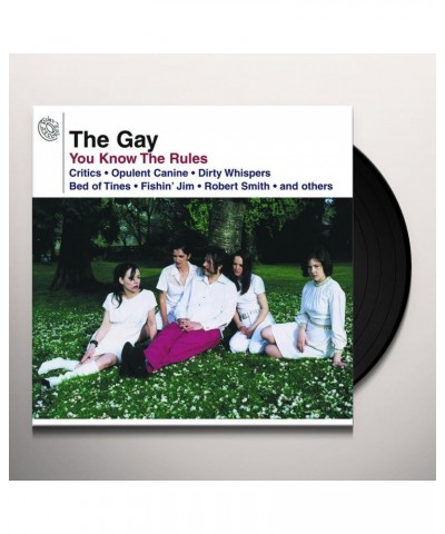 Gay You know the Rules Vinyl Record $13.20 Vinyl